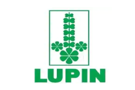 logo1